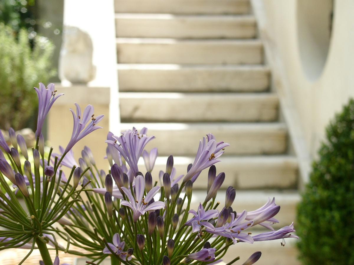 Primaluce Bed & Breakfast Venedik Dış mekan fotoğraf